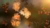 Polygon Medical Animation - Monoclonal Antibody Therapy